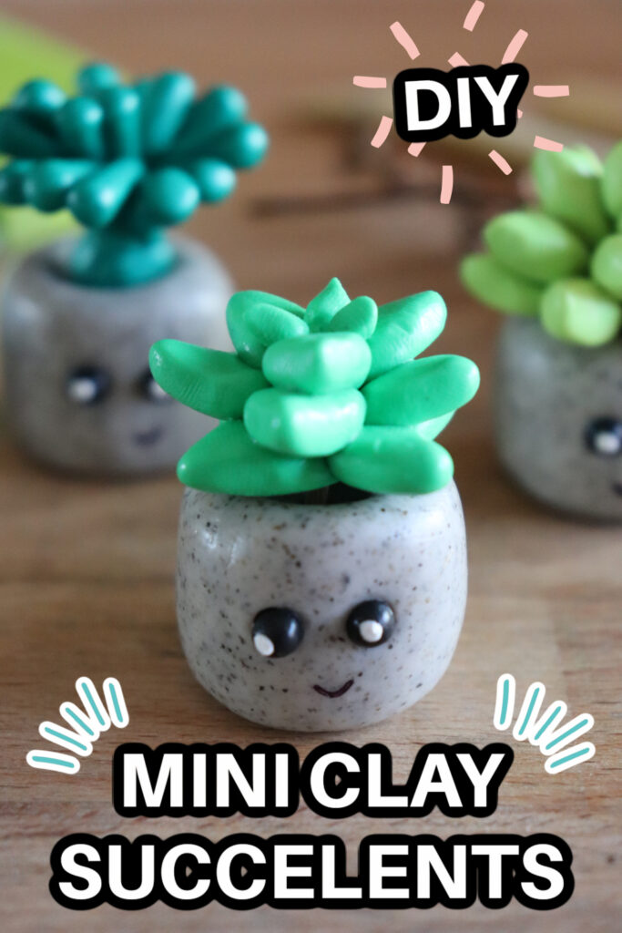 mini succulents