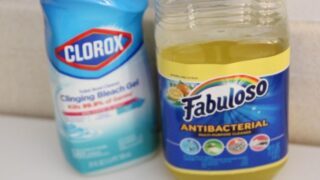 fabuloso and clorox toilet cleaner on toilet